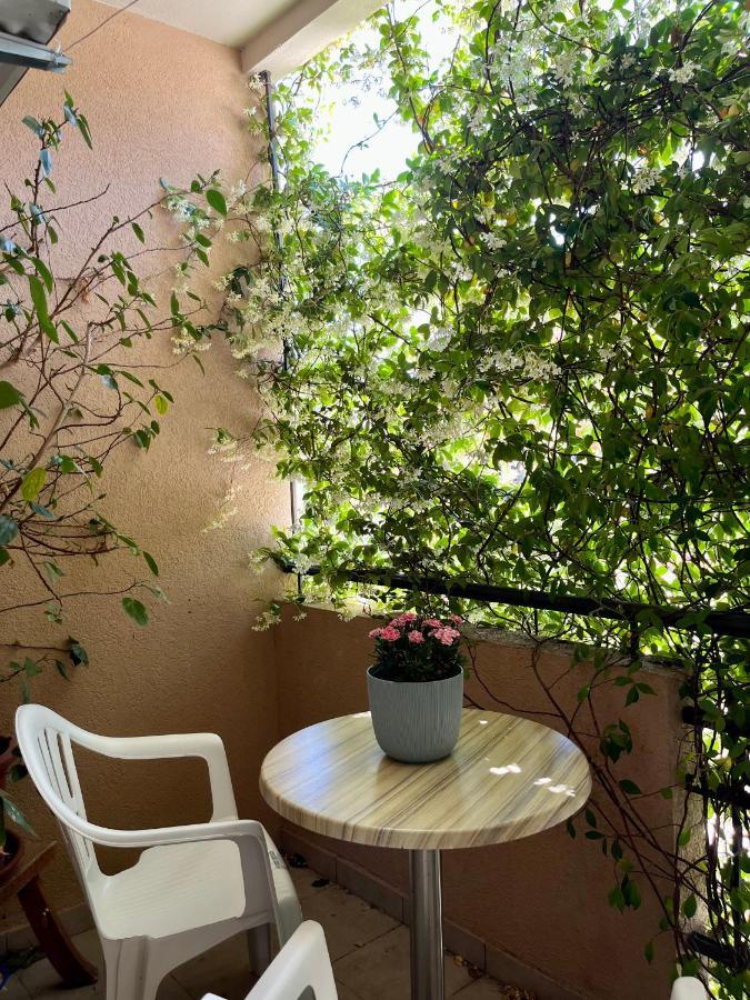 Apartmani Goran I Jelena Zec Budva Zewnętrze zdjęcie