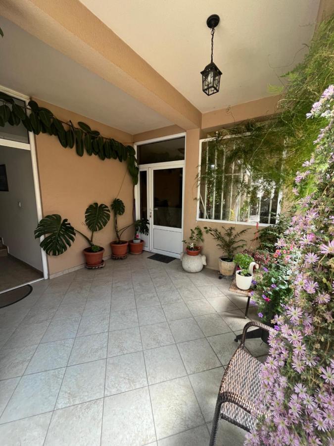 Apartmani Goran I Jelena Zec Budva Zewnętrze zdjęcie